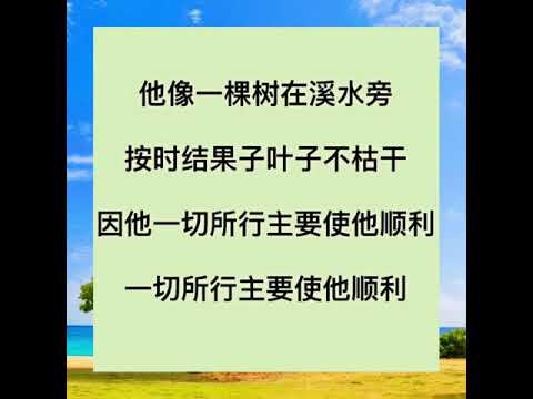 《溪边的树》 多读经祷告！