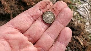 Nokta Simplex Lite! Excellent metal detector finds coins great vdi easy to use good finds