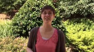Making an Arrival Checklist - UM IEP Tip of the Week for 7/11/16