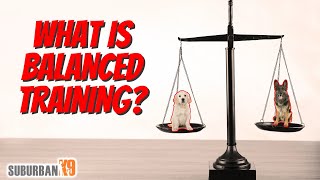 What is Balanced Dog Training? Plus an In Depth Explanation of Operant Conditioning! by Suburban K9 Dog Training 500 views 7 months ago 18 minutes