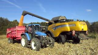 Moisson maïs 2016 CX 8050 chenilles ETA Guicherd