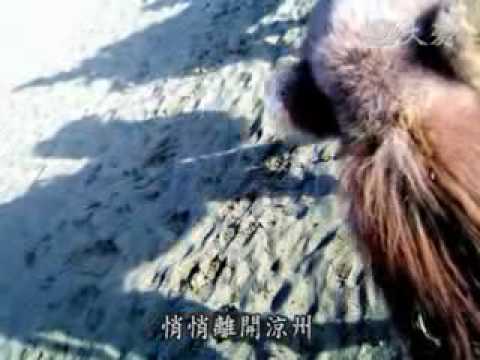 20100703-3 大唐西域記(1)