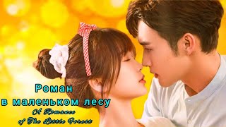:    A Romance of The Little Forest  