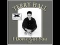 Terry Hall - I Don&#39;t Got You (1994)