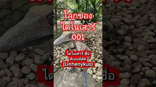 โลกของไดโนเสาร์ 001 ลิเนนนีคัส (Linhenykus) #jurassicpark #nature #landscape