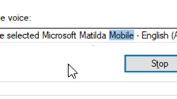 Microsoft Eva, Sarah and Matilda Pitch Glitch