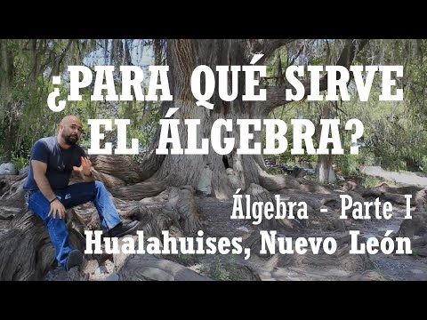 Vídeo: Què és l'àlgebra ideal?