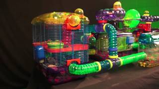 Gerbil Cage, Kaytee CritterTrail Village for Gerbils, Mice or Hamsters includes Burrowing Maze