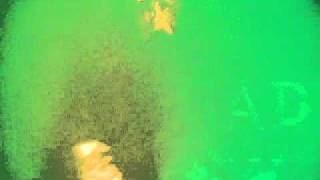 Megadeth 7 Dawn Patrol.avi