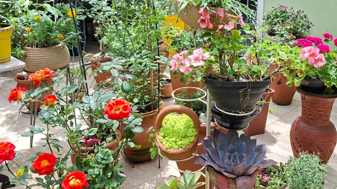 Muita mão na massa no jardim de flores/E o vasos transformaram embelezando tudo 