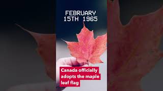 Canadian Flag shorts canada flag