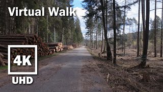 Virtual Walk Forest Hike | 4K UHD Stereo Audio | no Music | 34