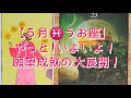 【５月♓うお座】やっと！いよいよ！願望成就の大展開！