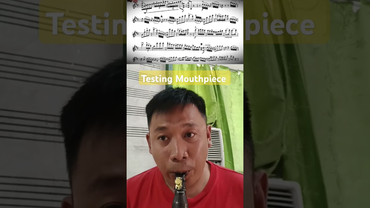 Testing Mouthpiece / Colorature Clarinet Pro Lux Model / Zac Ligature