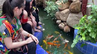 Download Lagu Pek Vannak18-05-20 MP3