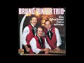 Bruno Pinter Trio  ein musikant hat s scher 12 titel b
