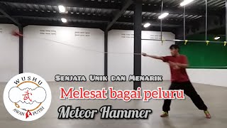 SENJATA TERSERU DI KUNGFU, Berputar dan Melesat seperti Peluru | Meteor Hammer screenshot 3