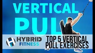 Looking for a Bigger Back? | Top 5 Vertical Pull Exercises Profile
