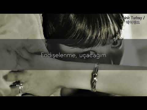 Kim NamJoo - Bird Türkçe Altyazılı