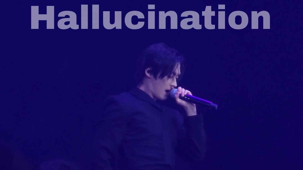 250214~6 스트레이키즈 리노 할루시네이션(hallucination) 3일 직캠 모음 Straykids 5TH 5clock fanmeeting LEEKNOW fancam