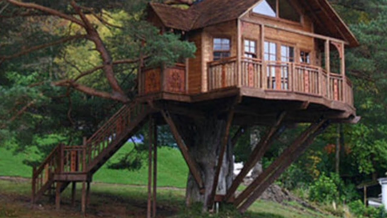 Дом на дереве. Крутой дом на дереве. Дом на дереве в Сибири. Домики на дереве большие