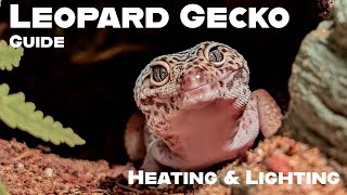 Leopard Gecko Basic Guide - Heating & Lighting