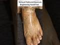 Fair Hand/ Feet Without Manicure/ Padicure | Remove Tanning #shorts #skincare smbeautylandstudio