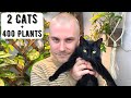 How Do I Have Two Cats AND 400+ Houseplants??? | Cats & Plants 101