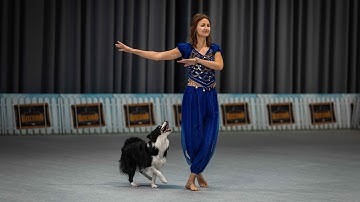 Anastasiia Beaumont and Salsa - Heelwork to Music class 1