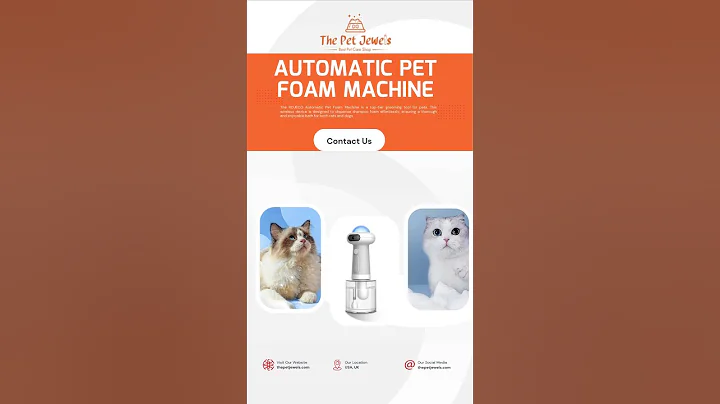 Video 9222671: cat bathing shampoo, pet bath