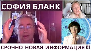 СОФИЯ БЛАНК НОВЫЕ ЗНАНИЯ ВСЯ ИНФОРМАЦИЯ О НОВОМ САЙТЕ