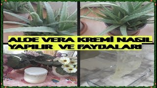 ALOE VERA KREMİ NASIL YAPILIR | ALOE VERANIN FAYDALARI | İDDİA EDİYORUM DOĞAL REÇETE