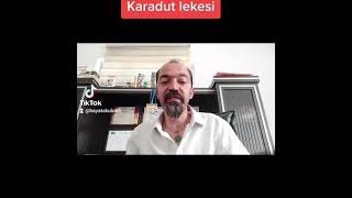 karadut lekesi
