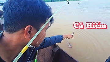 Câu Tôm Càng Đầu Mùa " Bất Ngờ Dính Loại Cá Hiếm " Giá Cao |Cơm Quê Nhà 189# 