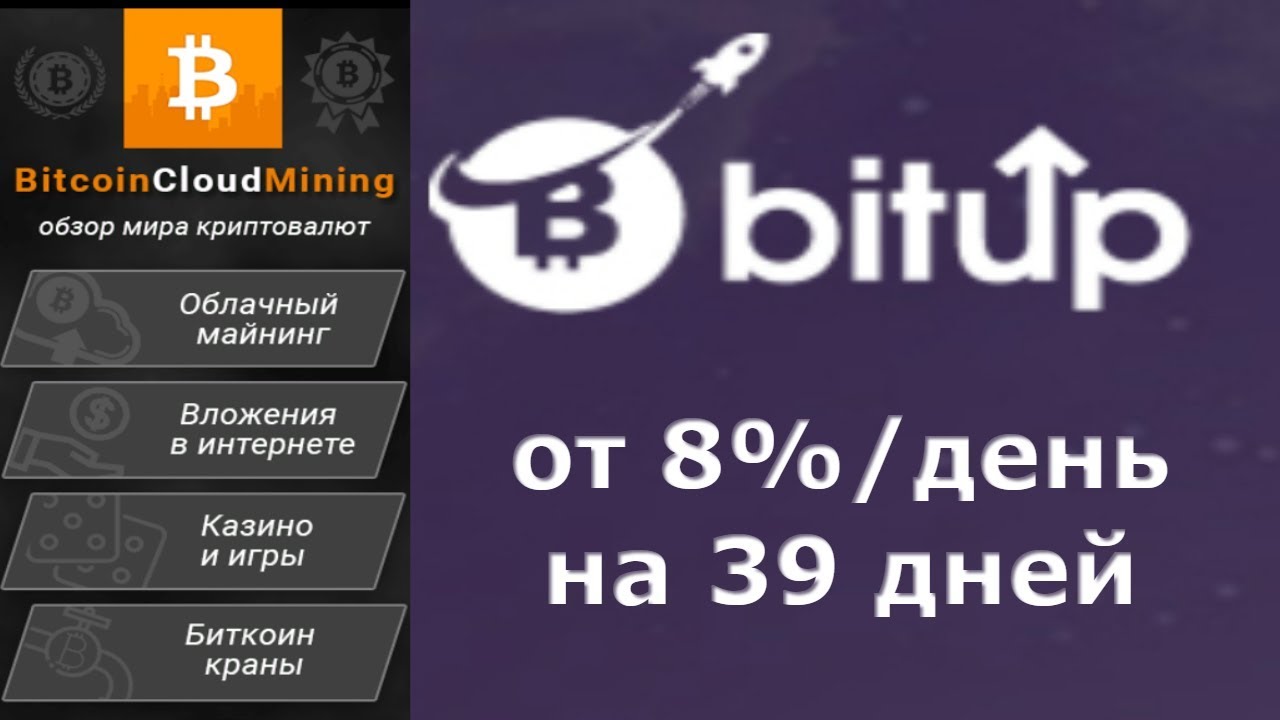 [SCAM] BitUp  – доходность от 8% каждый рабочий день
