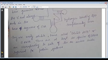 SAITM B.Tech EE SEM 4 BIOLOGY - I UNIT 3 LECTURE 10