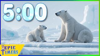 5 Minute Music timer with Polar Bears on Ice!