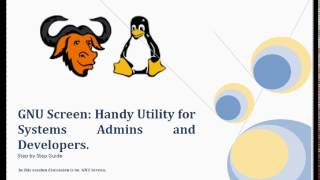 Famous GNU Screen : Handy Utility for System Admins and DevOps Engineers Wealth