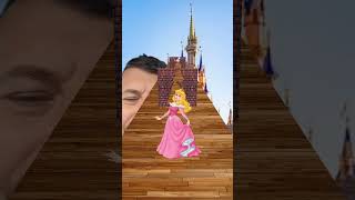 HELP the Princess Filter Challenge