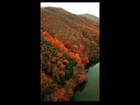 세로영상
