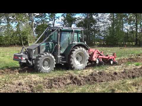 Vidéo: Cultures forestières : types, plantation et entretien, travail du sol et culture