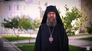 картинка: Некоторые секреты Святой Горы Афон