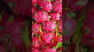 🤣catch your dragon🐉 fruit oh no 😮😱  #asmr #dragonfruit  #shorts #viral #trending