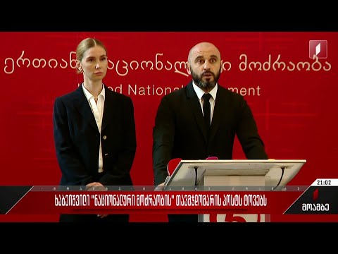 ხაბეიშვილი „ნაციონალური მოძრაობის“ თავმჯდომარის პოსტს ტოვებს