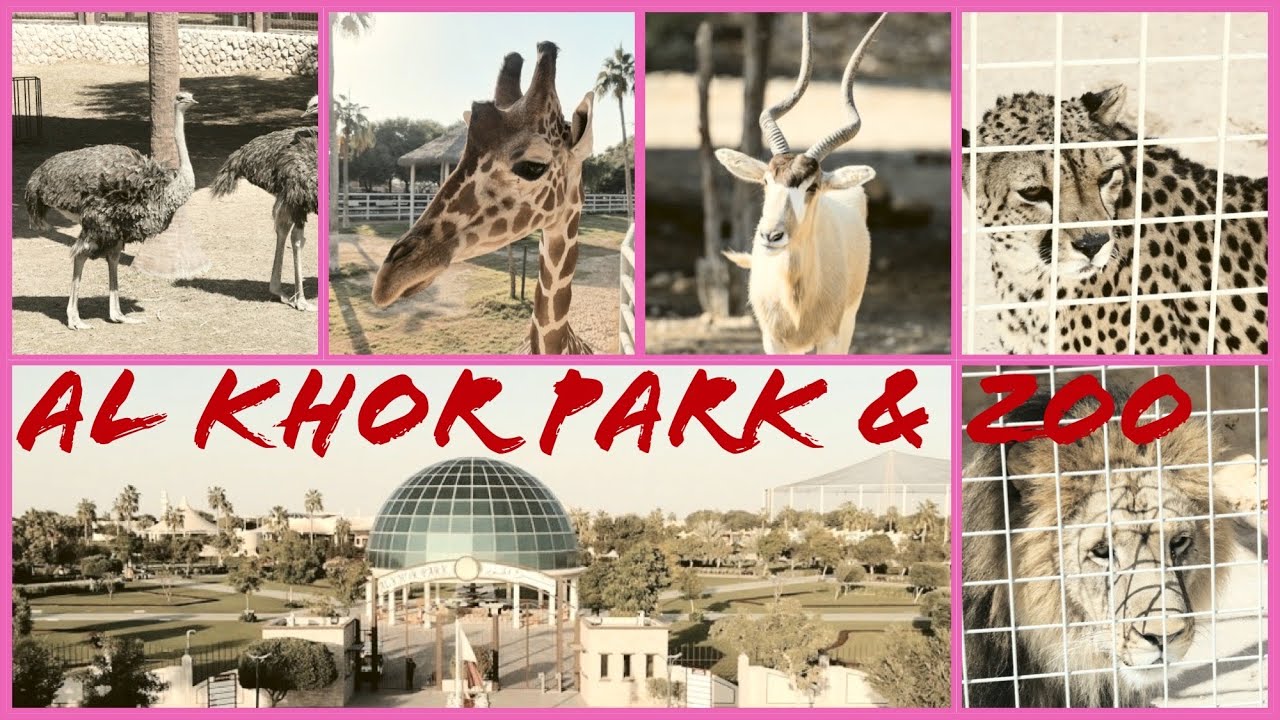 ALKHOR PARK & ZOO 0
