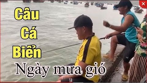 Câu Cá Biển | Câu Cá Dìa Ngày Mưa Trên Cảng Đại Lãnh  Giật Sướng Cả Tay | Recreational Fishing