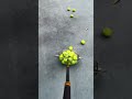 Fastest tennis ball collector #smalleyes #fishing #sportsequipment #funny #carpfishing