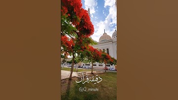 سورة الكهف 🤍#اسلام_صبحي #قران_كريم #عبدالرحمن_مسعد #قران #quran  #يوم_الجمعة #الجمعة