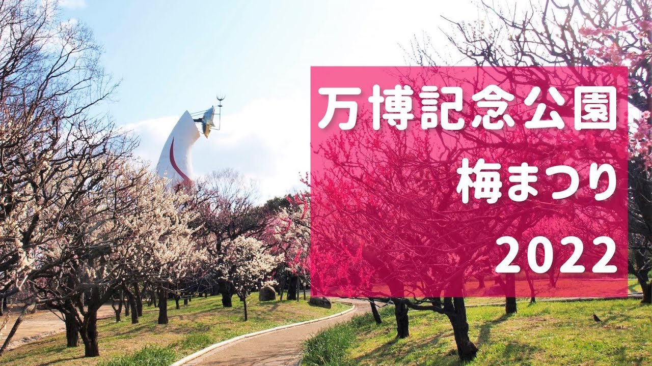 万博記念公園 梅まつり22 Youtube 万博記念公園 梅まつり22 Youtube