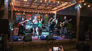 AIRHEAD - The Whispering Trees LIVE